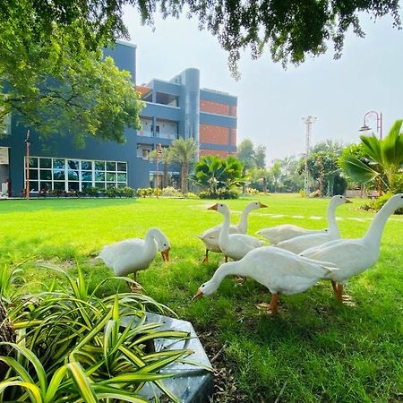 Krishna Riverside Resort Vasad Eksteriør billede